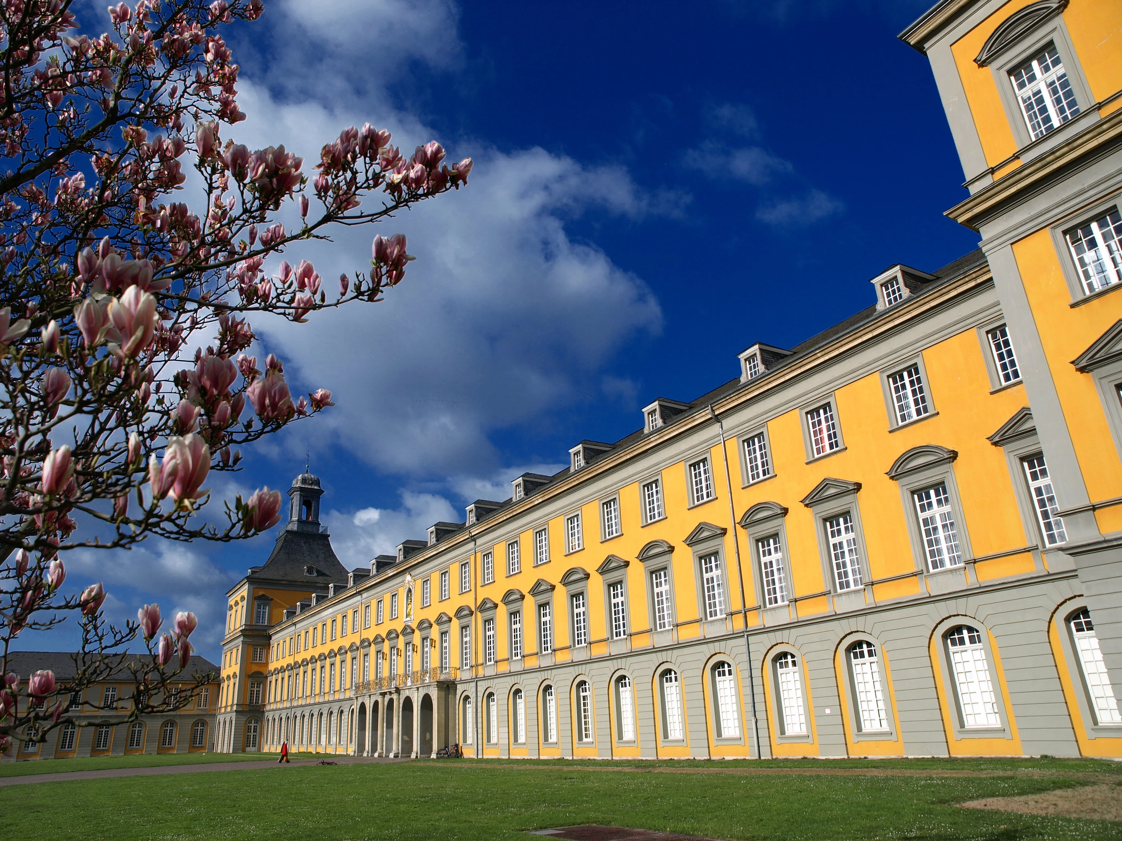Hauptgebäude Frühling